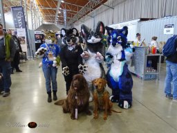 Haustiermesse am 1.03.2026